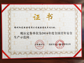 2016年度全國青年安全生產示范崗